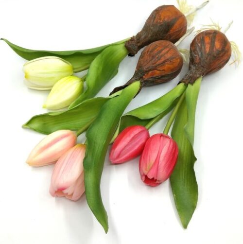 elethu-hagymas-tulipan-muvirag-tobb-szinben-20565-hobbykreativ