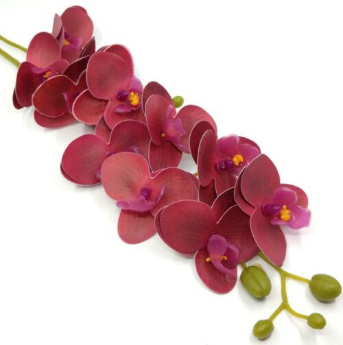 elethu-latex-orchidea-borvoros-erezetes-2-szaras-20559-hobbykreativ