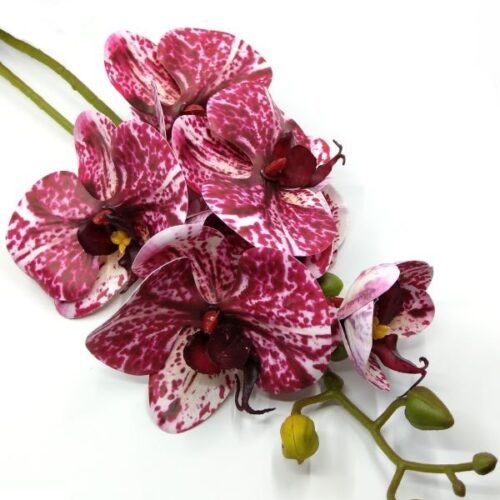 elethu-latex-orchidea-levellel-ciklamen-a051205-hobbykreativ