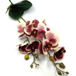 elethu-latex-orchidea-levellel-ekru-bibor-apro-pottyos-051205-hobbykreativ