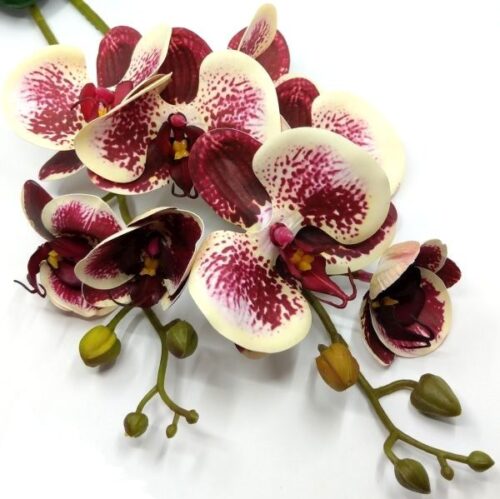 elethu-latex-orchidea-levellel-ekru-bibor-apro-pottyos-a051205-hobbykreativ