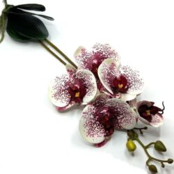 elethu-latex-orchidea-levellel-feher-bibor-apro-pottyos-051205-hobbykreativ