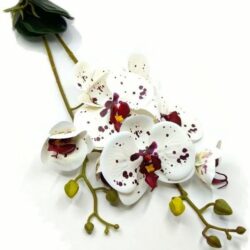 elethu-latex-orchidea-levellel-feher-bordo-pottyos-051205-hobbykreativ
