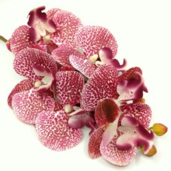 elethu-latex-orchidea-szal-ciklamen-pottyos-136475-hobbykreativ