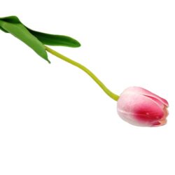 elethu-pu-tulipan-szal-pink-magenta-cirmos-20548-hobbykreativ