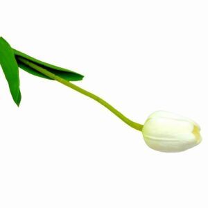 Élethű PU tulipán szál törtfehér 1 szál