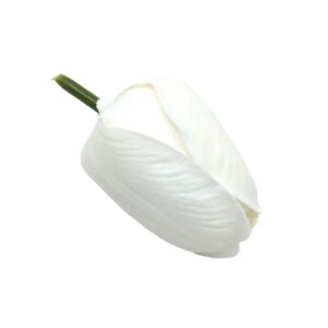 Szappan tulipán fej fehér 5 cm 1 db