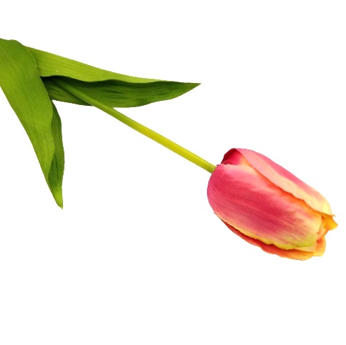 nagyfeju-tulipan-selyemvirag-bibor-krem-cirmos-20502-hobbykreativ