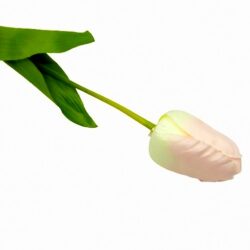 nagyfeju-tulipan-selyemvirag-szal-pasztell-rozsaszin-20502-hobbykreativ