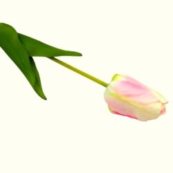 nagyfeju-tulipan-selyemvirag-szal-rozsaszin-cirmos-20502-hobbykreativ