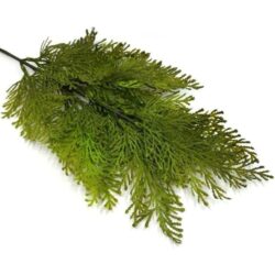 tuja-ag-muanyag-diszitoelem-zold-25750-hobbykreativ
