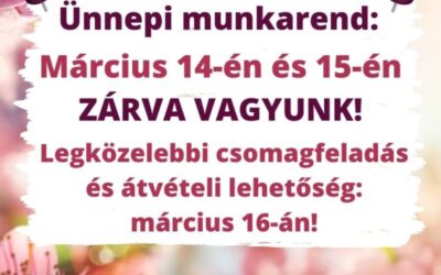 ÜNNEPI MUNKAREND