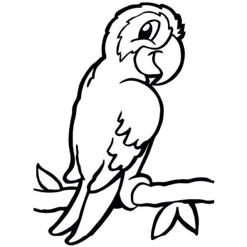 homokkep-sablon-papagaj-agon-hobbykreativ