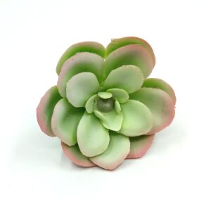 Pozsgás virág hamvas zöld-rózsaszín cirmos gumi 5,5 cm 1 db