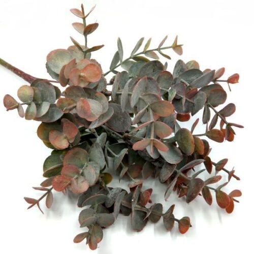 nagy-kereklevelu-eukaliptusz-diszitoelem-pirosas-zold-24285-hobbykreativ