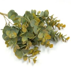 nagy-kereklevelu-eukaliptusz-diszitoelem-sargas-zold-24285-hobbykreativ