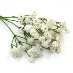 rezgo-viragos-muanyag-diszitoelem-feher-24209-hobbykreativ