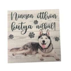 nincsen-otthon-kutya-nelkul-husky-hobbykreativ