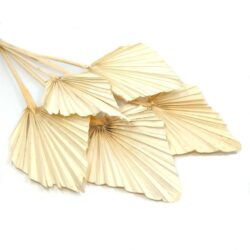 kozepes-palmalevel-feheritett-5-db-hobbykreativ