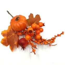oszi-vegyes-betuzo-tokkel-es-csipkebogyokkal-136000-hobbykreativ