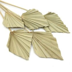 palmalevel-mini-natur-5-db-hobbykreativ