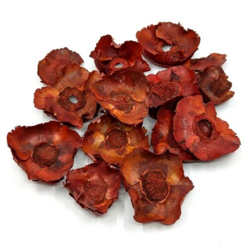 kokuszvirag-bornarancs-hobbykreativ