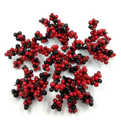 poli-bogyos-agacskak-piros-fekete-009823-hobbykreativ