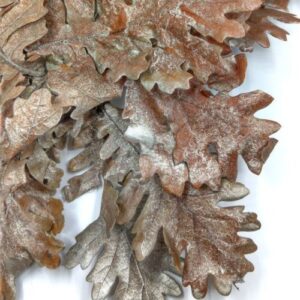 tolgyfa-level-platinum-festessel-50-gr-495565-1-hobbykreativ