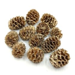 fenyotoboz-kerekded-festett-pezsgoarany-hobbykreativ