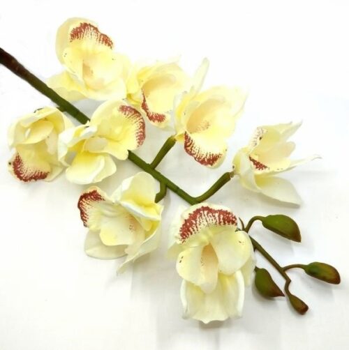 extra-hosszuszaru-gumis-orchidea-ekru-wsk8m-hobbykreativ