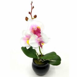 selyem-orchidea-virag-kaspoban-ekru-rozsaszin-kozeppel-28069-hobbykreativ