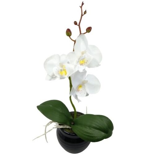 selyem-orchidea-virag-kaspoban-feher-28069-hobbykreativ