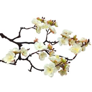 Cseresznyevirág többfelé ágazó fehér 1 ág