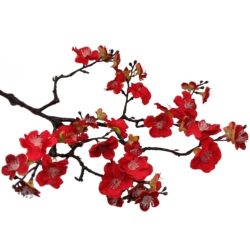 cseresznyevirag-tobbfele-agazo-piros-056675-hobbykreativ