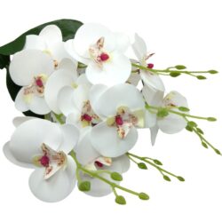 elethu-latex-orchidea-csokor-feher-hobbykreativ