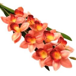 elethu-latex-orchidea-hosszu-levellel-rozsaszin-erezetes-20624-hobbykreativ