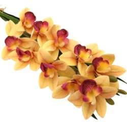 elethu-latex-orchidea-hosszu-levellel-sarga-malyva-20624-hobbykreativ