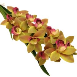 elethu-latex-orchidea-hosszu-levellel-zold-malyva-20624-hobbykreativ