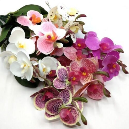 rovidszaru-elethu-latex-orchidea-levellel-20632-hobbykreativ