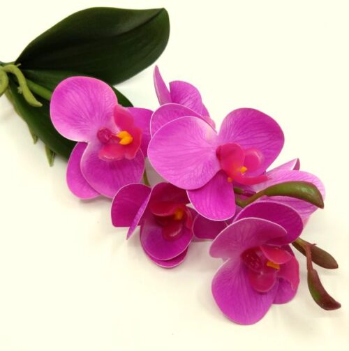 rovidszaru-elethu-latex-orchidea-levellel-ciklamen-20632-hobbykreativ