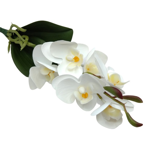 rovidszaru-elethu-latex-orchidea-levellel-feher-1-20632-hobbykreativ
