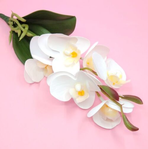 rovidszaru-elethu-latex-orchidea-levellel-feher-20632-hobbykreativ