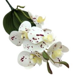 rovidszaru-elethu-latex-orchidea-levellel-feher-bordo-foltos-20632-hobbykreativ