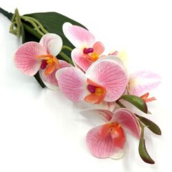rovidszaru-elethu-latex-orchidea-levellel-pasztell-rozsaszin-erezetes-20632-hobbykreativ