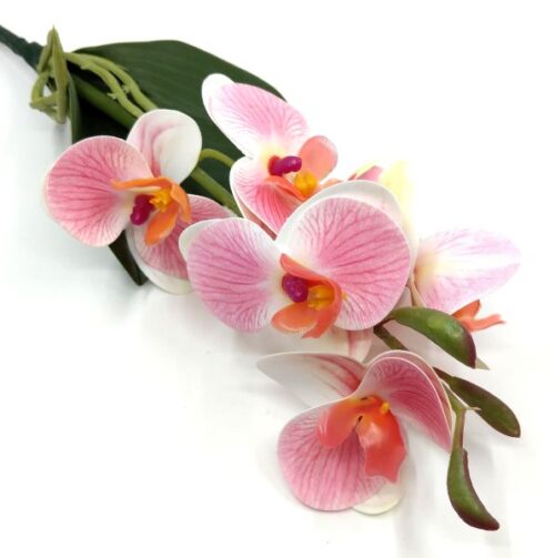 rovidszaru-elethu-latex-orchidea-levellel-pasztell-rozsaszin-erezetes-20632-hobbykreativ