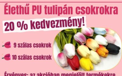 SZEZONNYITÓ TULIPÁN AKCIÓ!