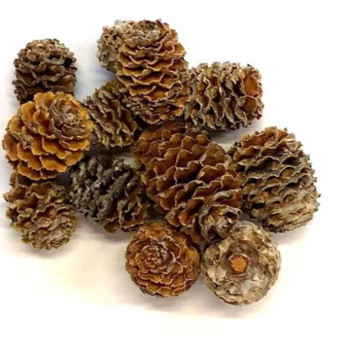 fenyotoboz-kerekded-natur-barna-hobbykreativ