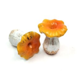 keramia-gomba-sarga-kalappal-dd62130-hobbykreativ