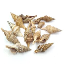 kupcsiga-barna-mintas-70-gr-hobbykreativ