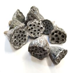 lotus-termes-zuzmaras-2025-hobbykreativ